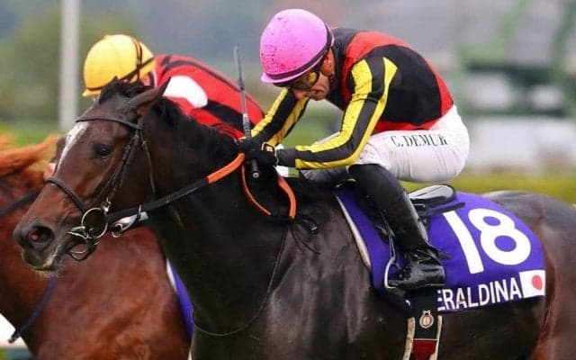 【エリザベス女王杯】C.デムーロ「すごく良い手応え」ジェラルディーナがG1初制覇