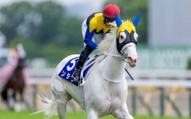 【マイルCS登録馬】ソダシなど17頭