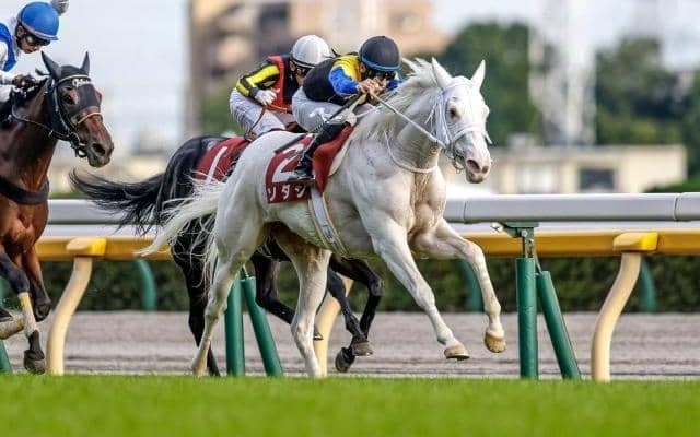 【マイルCS見どころ】ソダシがサリオス、シュネルマイスターら牡馬一線級と初対決