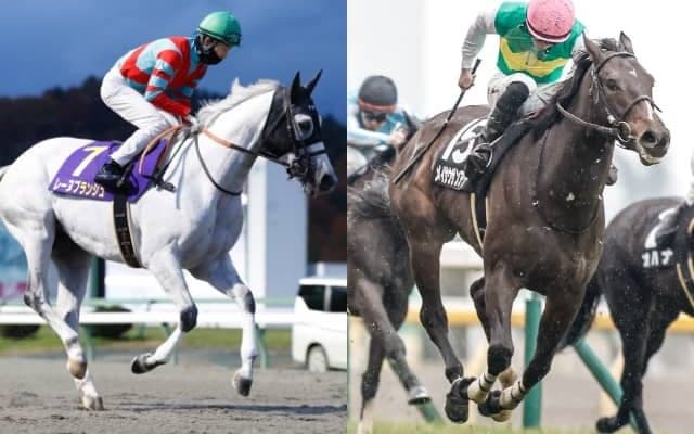 『6億円馬』の仔や牝馬ダート路線の古豪がターフを去る 先週のJRA抹消馬一覧