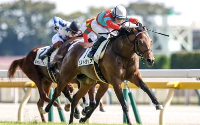 【東京スポーツ杯2歳S展望】世代屈指の出世レース、決め手勝負になりやすい