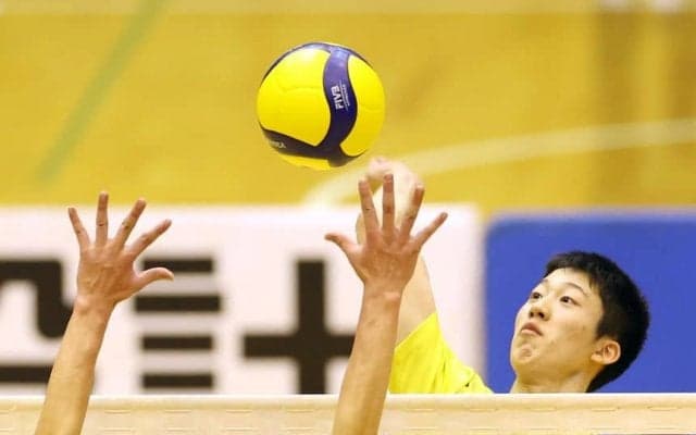 春高バレー埼玉代表に導いた永田丈と渡会凪紗