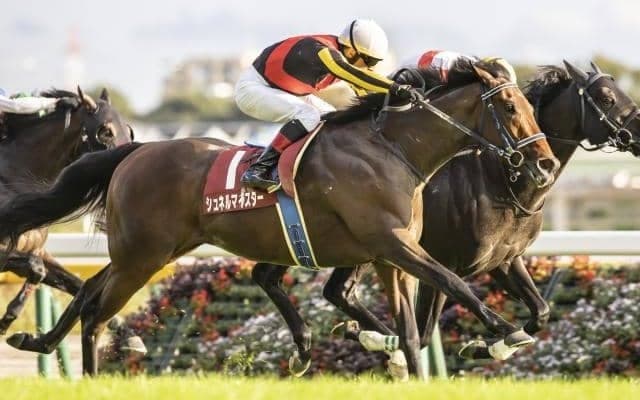 【マイルCS予想オッズ】シュネルマイスターが予想1番人気