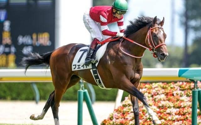 【東京スポーツ杯2歳S予想オッズ】リアルスティール産駒フェイトが予想1番人気