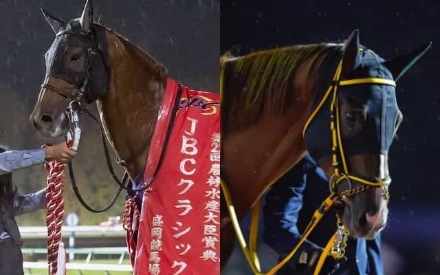 復活のダート王が連覇を狙う チャンピオンズカップ登録想定馬の一覧