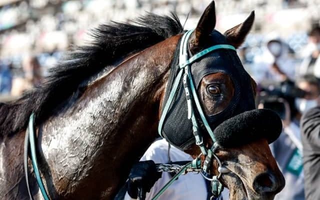 同じ一族に活躍馬多数 デビュー無傷2連勝の期待馬がJpnI参戦へ