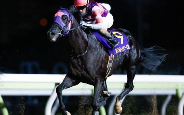 【大井・ハイセイコー記念結果】マンダリンヒーローがデビュー4連勝で重賞制覇