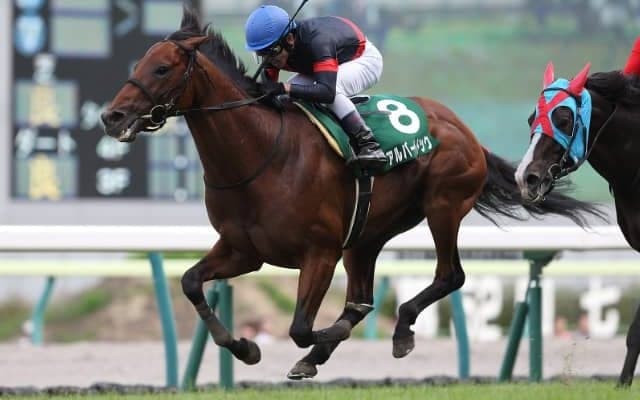 日本馬アルバートドックの産駒がイタリアでG2制覇 二代父はディープインパクト