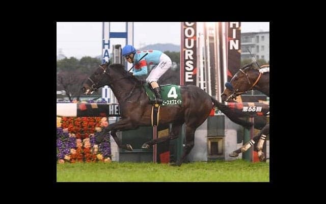 マイルCSで狙うべきは「レースと縁がある血統馬」。唯一のディープインパクト産駒による波乱の可能性も