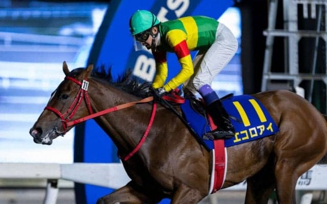 【兵庫ジュニアグランプリ】JRA出走予定馬