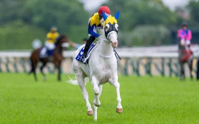 【マイルCS】出走馬の調教後の馬体重