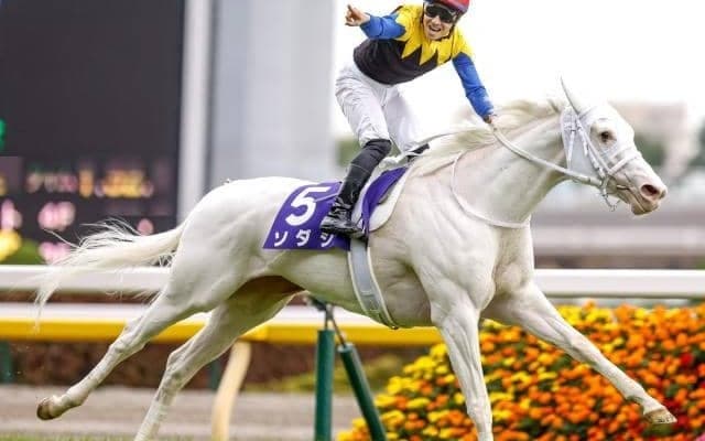 【マイルCS 調教後馬体重】サリオス、シュネルマイスターなど7頭が前走から2ケタ増