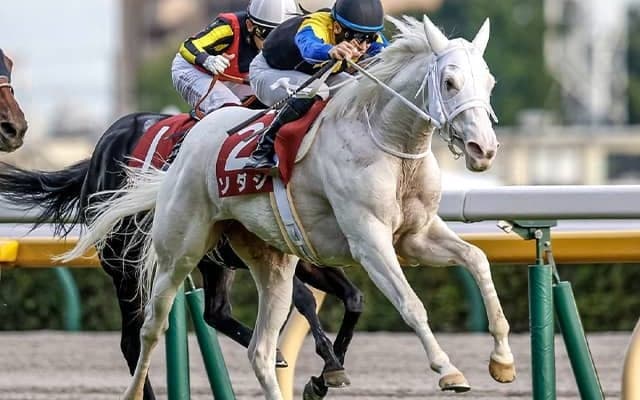 【マイルCS枠順確定】シュネルマイスターは2枠4番、ソダシは3枠6番