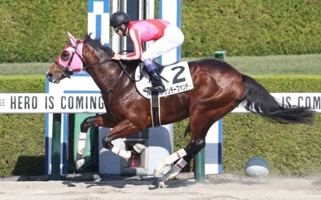 【新馬/阪神4R】武豊 サンデーファンデーがデビューV
