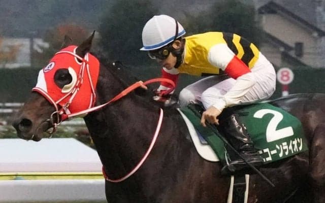 【福島記念】国分優「自信を持って乗ろうと思った」ユニコーンライオンが重賞2勝目