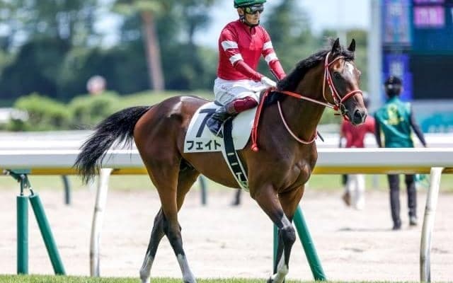 【今日の注目ポイント】東京でGIの登竜門・東スポ杯2歳S
