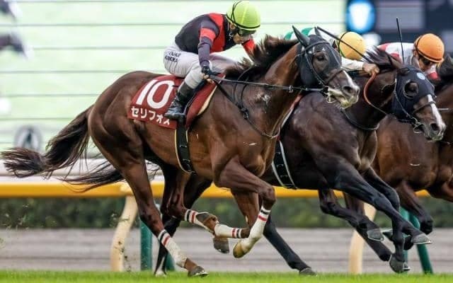 【マイルCS予想】馬場想定から勝ち負け必至!? ひと夏越して実が入った3歳馬に期待