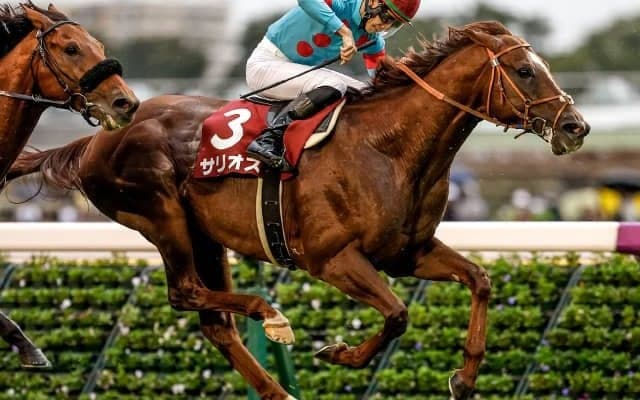 【マイルCS予想】ハーツ産駒に暗雲!? ライバルに大きく離された産駒成績