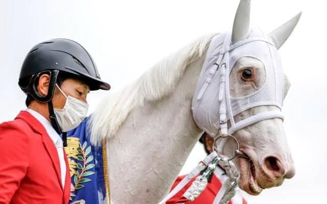 【マイルCS前日オッズ】ソダシが4.0倍で1番人気、6頭が10倍を切る大混戦