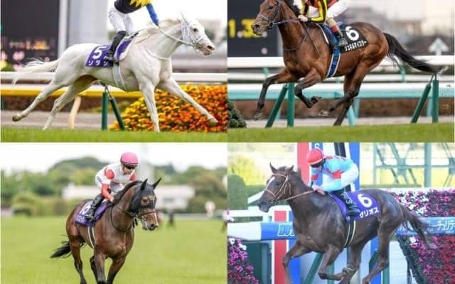 競馬ファン2万4000人に聞いた！ マイルCS出走のマイルGI馬4頭で最も強いのは？