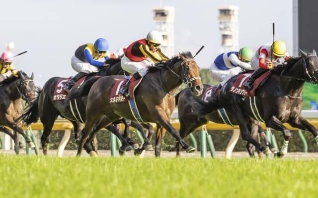 【今日の注目ポイント】阪神でマイル王決定戦・マイルCS