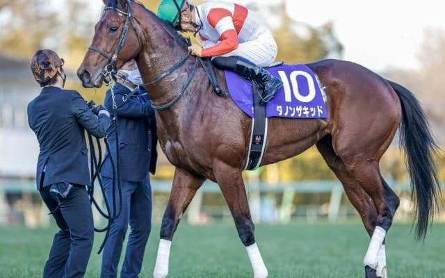 【マイルCS予想】前走内容に復活の兆し 昨年の3着馬が久々のビッグタイトル掴むか
