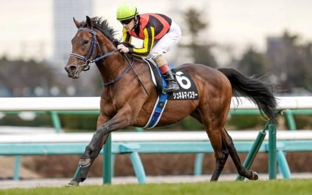 【マイルCS予想】堅め決着でも1番人気単勝は買いづらい？ 狙うべきマイルCS絶妙ポイント馬とは？