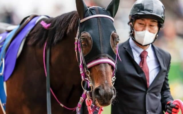 昨年のJGIで絶対王者を撃破 2020年の最優秀障害馬がターフを去る