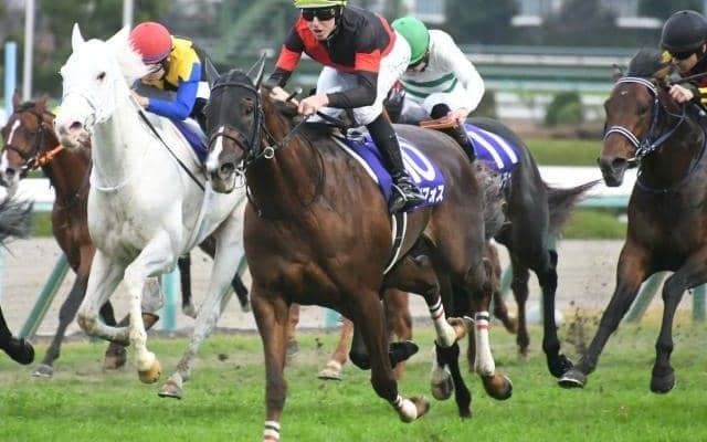 【マイルCS】セリフォスが大外一気決め新マイル王！父ダイワメジャーと親子制覇