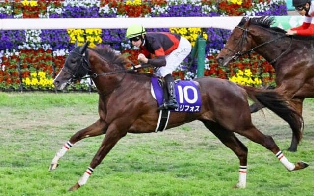 【マイルCS】セリフォスがG1初制覇！ソダシは敗れる