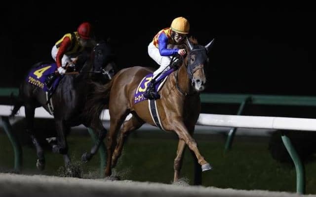 【チャンピオンズC】テーオーケインズ、クラウンプライドなどが登録