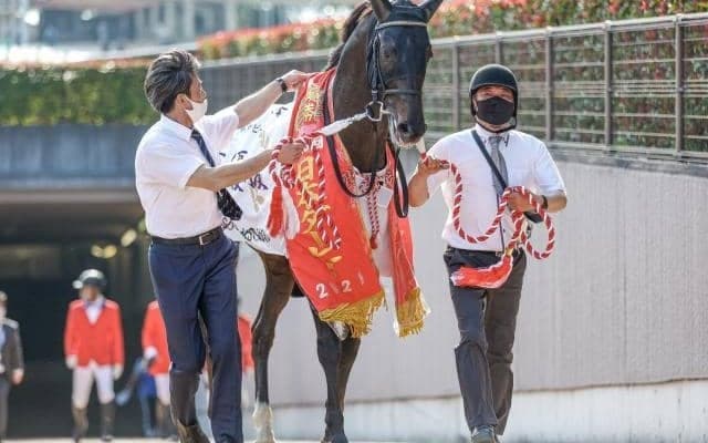 東京開催のラストを飾るジャパンC、スプリントGIII京阪杯など/今週の競馬界の見どころ