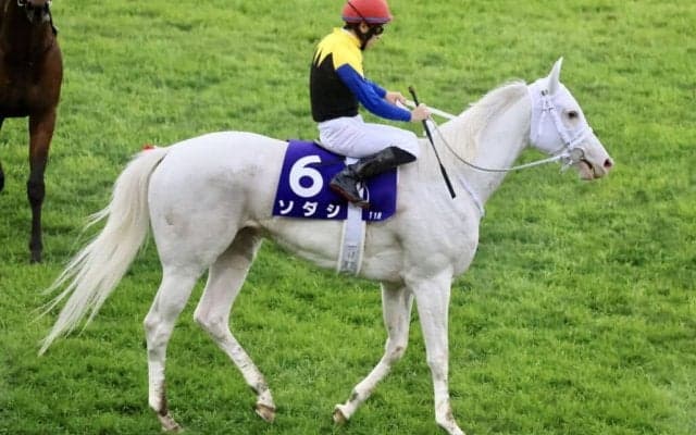 【マイルCS】吉田隼「最後まで踏ん張ってくれた」レース後ジョッキーコメント