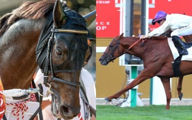 【ジャパンカップ】登録馬のレーティング一覧 オネストが121、シャフリヤールが120
