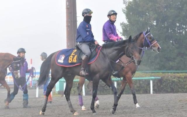 名牝シーザリオの孫オールマイデイズがデビュー/関東馬メイクデビュー情報