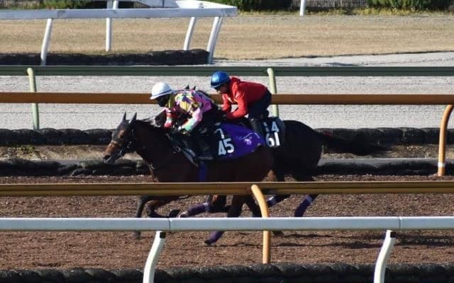 ヴァレーデラルナの半妹ハーパーが福永祐一騎手でデビュー/関西馬メイクデビュー情報