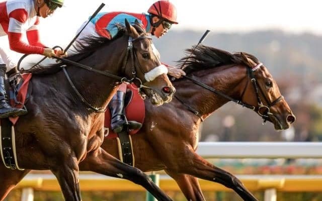 産駒が3年連続で馬券圏内に食い込むジャスタウェイ産駒のレース適性の高さ