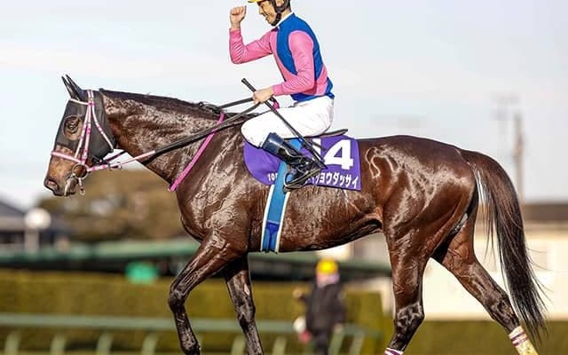 2020年のJRA最優秀障害馬、今年米G1に挑戦した5歳牝馬、クリソベリルの半弟らがJRA登録を抹消