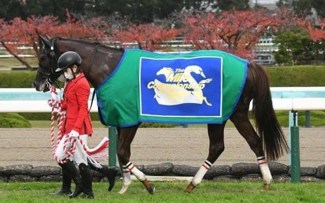 セリフォスが父ダイワメジャーとマイルCS親仔制覇 成長力のカギは？