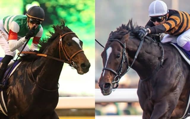 キタサンブラックの種付料は2倍に エピファネイアが最高額 社台SSが2023年度の種付料を発表