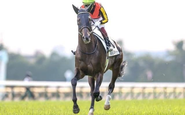 【ジャパンC予想オッズ】シャフリヤールが予想1番人気