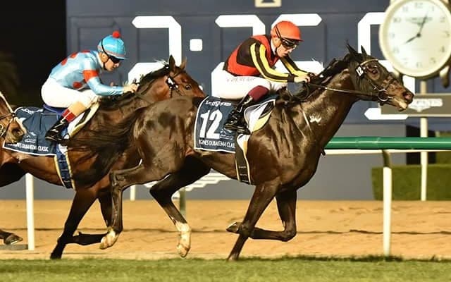 【ジャパンC想定騎手】シャフリヤールはC.デムーロ騎手、ダノンベルーガは川田将雅騎手