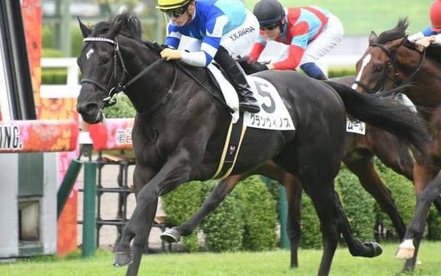 【京都2歳S予想オッズ】グランヴィノスが予想1番人気