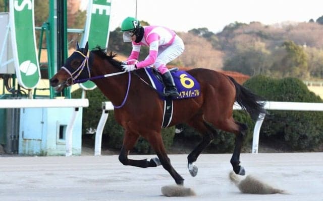 【浦和記念】ケイアイパープルは4枠4番へ