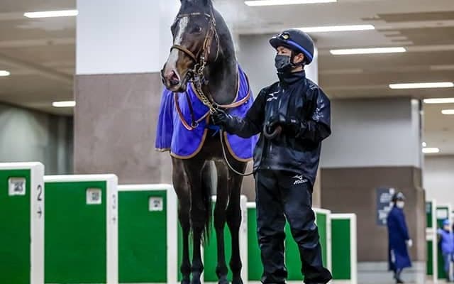 天皇賞・秋はイクイノックスに0.2秒差 1億7280万円馬がジャパンCで悲願のGI制覇へ