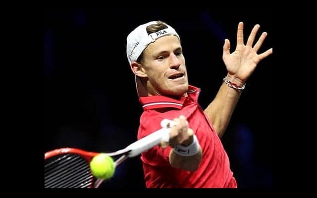 シュワルツマン W杯を現地観戦