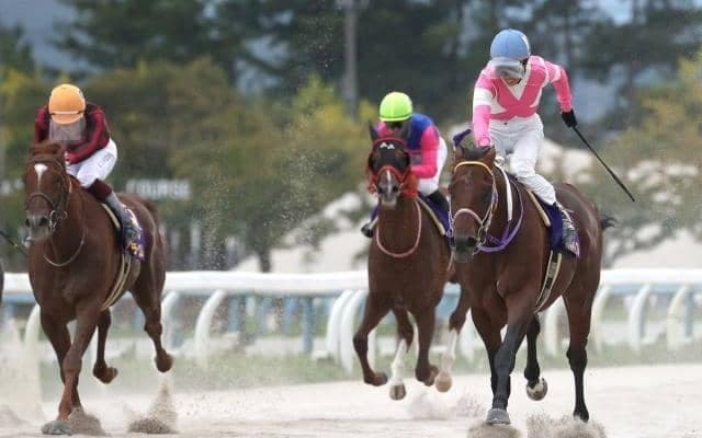 中央・地方ともに実力拮抗の好メンバー集結/浦和記念注目馬