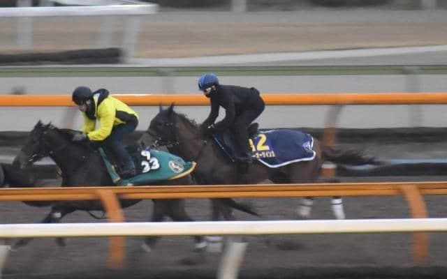 テーオーケインズ、チャンピオンズC1週前追い切り速報/栗東トレセンニュース