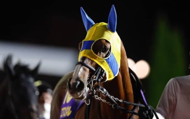 重賞3勝＆GIで2着3回 芝ダ問わず活躍した9歳の古豪がターフを去る