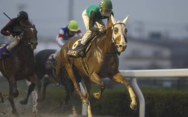 【浦和記念結果】武豊騎手騎乗のクリノドラゴンが鮮やかに差し切り重賞初V